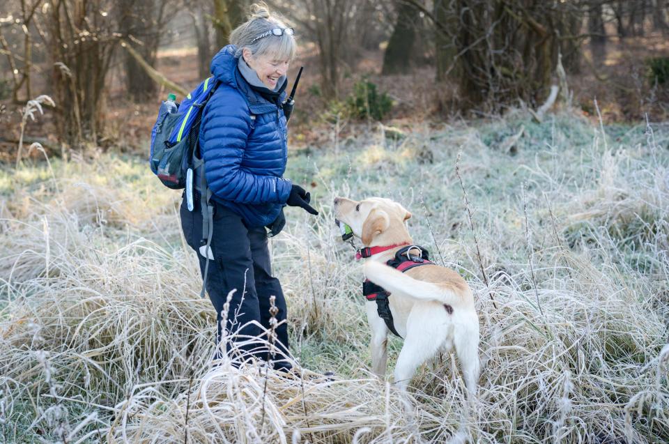 Cadaver search dogs, trained to seek out corpses are being used in the huge search operation
