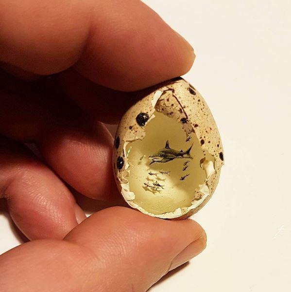 Bitesize . . . A Shark swimming in a quail's egg