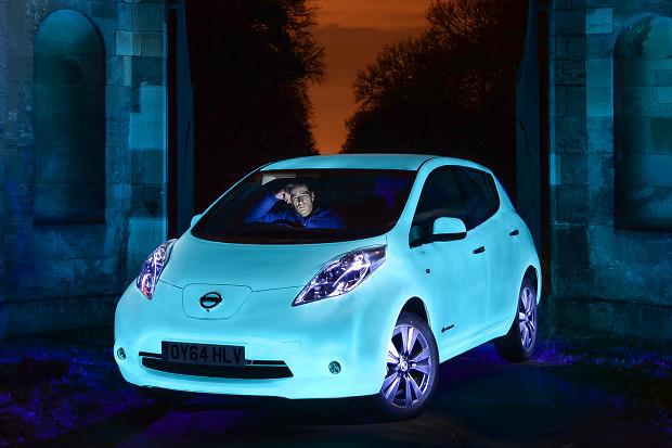  After dark... You won't struggle to find the glow in the dark Leaf