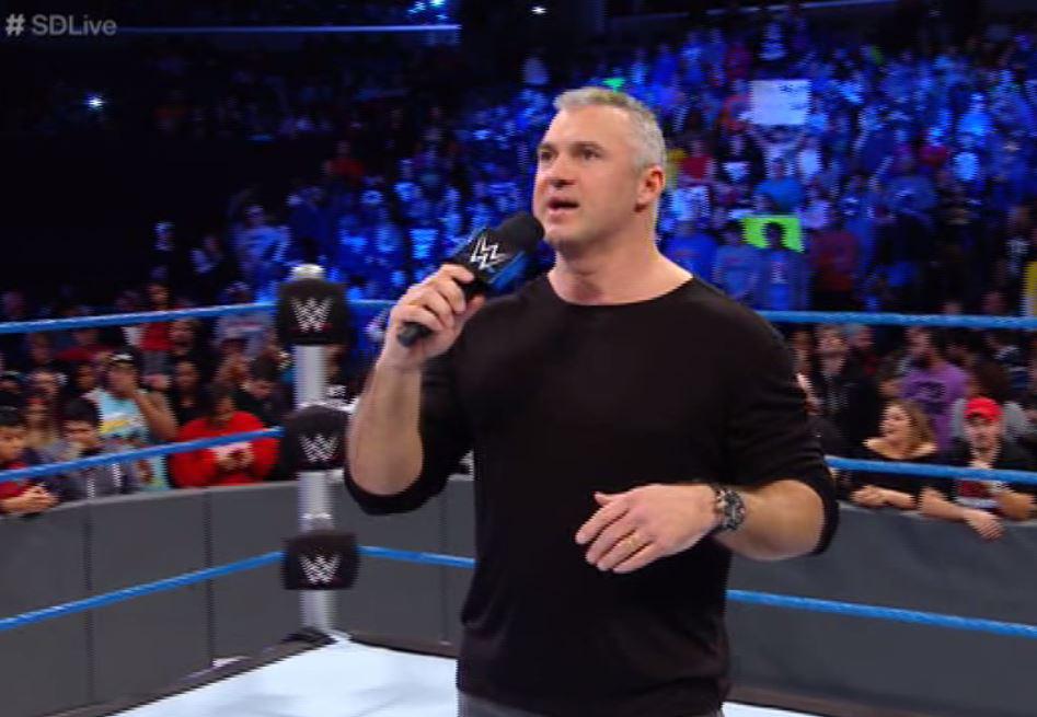 Shane McMahon revealed the Elimination Chamber is coming back next month