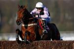 Traffic Fluide wins at Sandown racecourse
