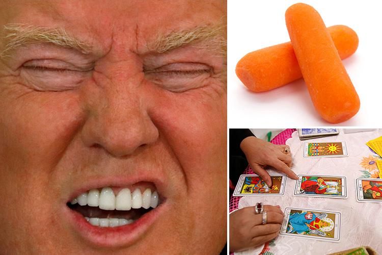  To cast the spell witches need a dodgy photo of Trump, an orange candle (or baby carrot) and tarot cards