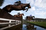 Runners clear the water at Leicester racecourse