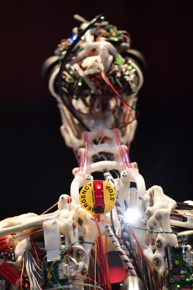  A robot built by engineer Rob Knight and named 'Rob's Open Source Android'