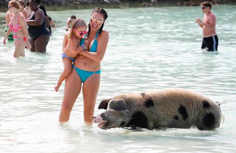 Tamara Ecclestone with daughter Sophia and one of the pigs 