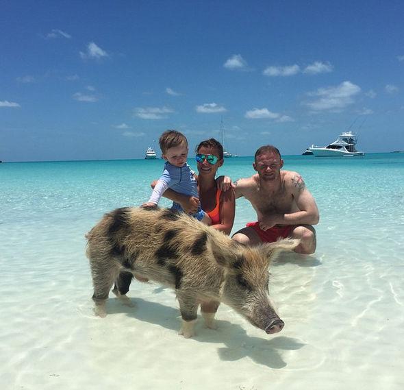 This picture of Wayne Rooney and his family with one of the pigs was posted on Instagram 