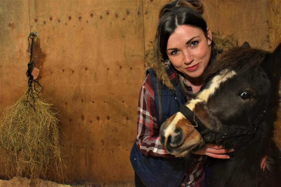  A pony tale ending ... thanks to The Sun Stevie is now fed and warm
