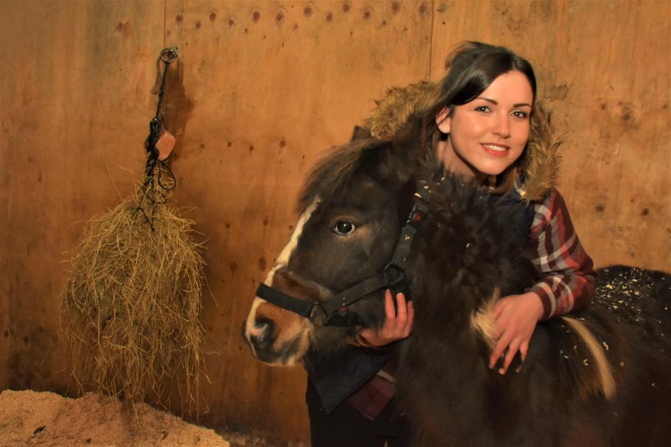  It was possibly the first night Stevie has spent in a stable