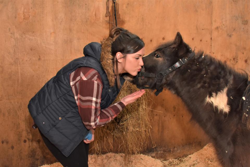  Stevie the pony is now safe and warm thanks to The Sun