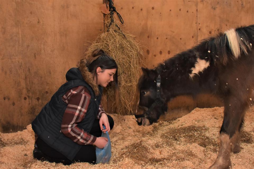  At first Stevie the pony was nervous around Louise