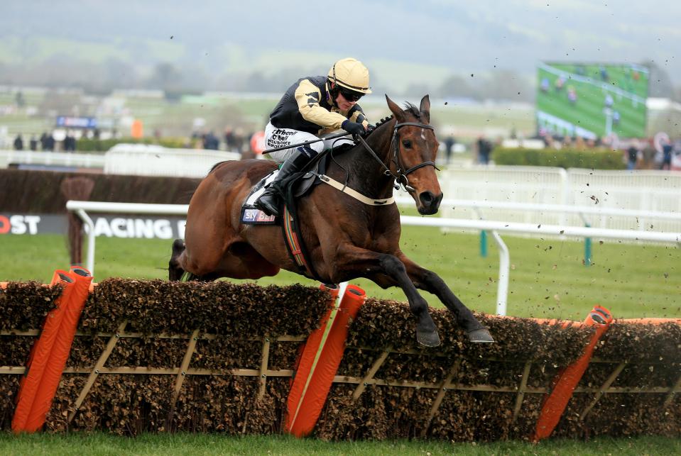  Bellshill will be no match for my selection Our Duke