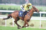 Melon wins at Leopardstown