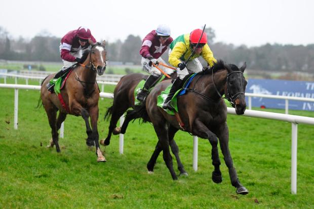 Sizing John wins the Irish Gold Cup