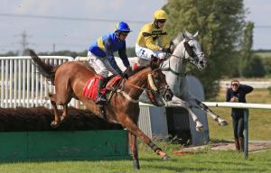 Southwell racecourse