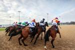 Wolverhampton racecourse