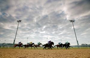 Wolverhampton racecourse