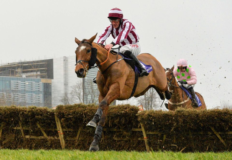 Mega Fortune wins at Leopardstown