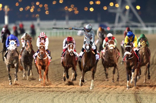California Chrome