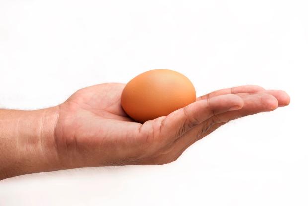 No one wants to use eggs that have gone bad in their cooking - follow this handy guide and you'll always get it right