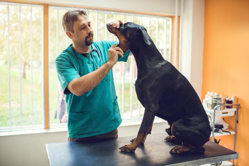  Last week, Sun columnist Tinderella met divorced vet Dan, but did he make the grade?