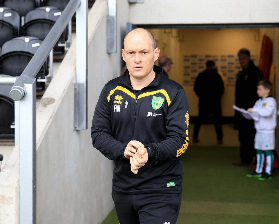 Alex Neil was said to be one of the brightest young managerial prospects - now he is looking for a job