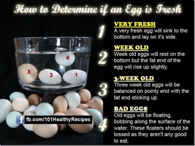 If it float, it's not usable: how to tell if an egg has gone off