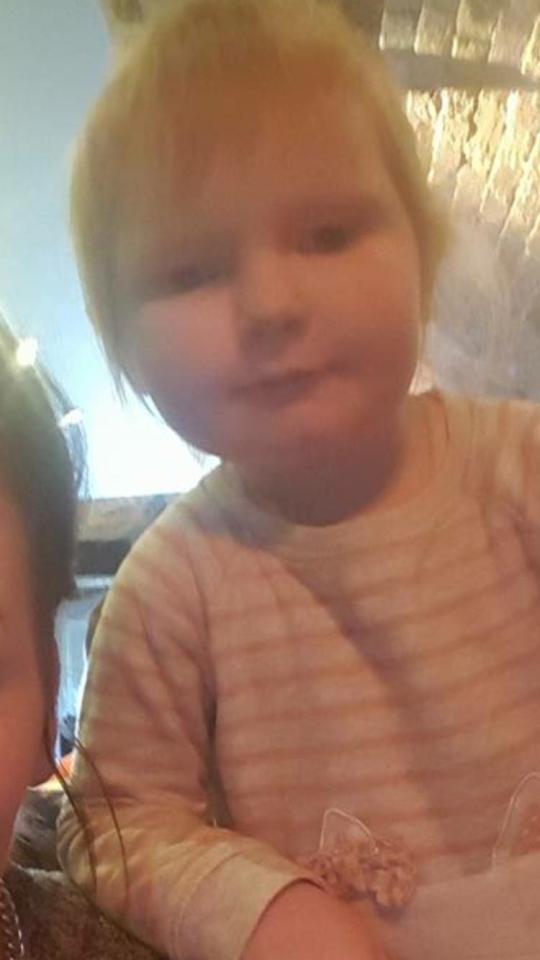  Two-year-old Isla Watson is arguably Ed Sheeran's best doppelganger to date