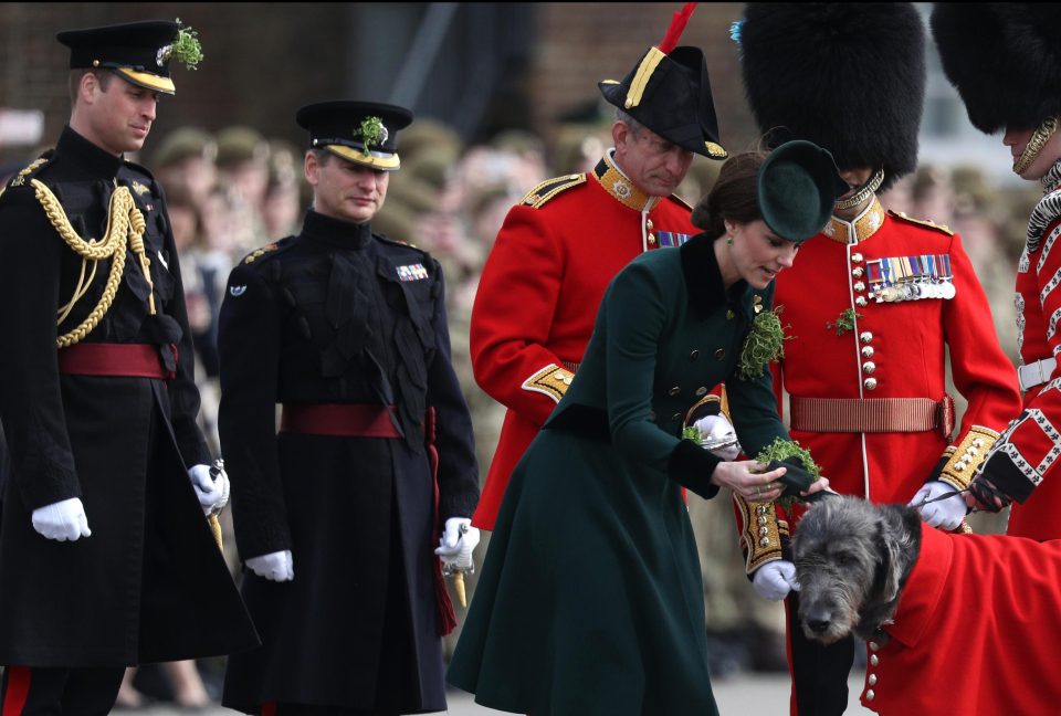  Kate presents a shamrock to The Regimental mascot Irish Hound