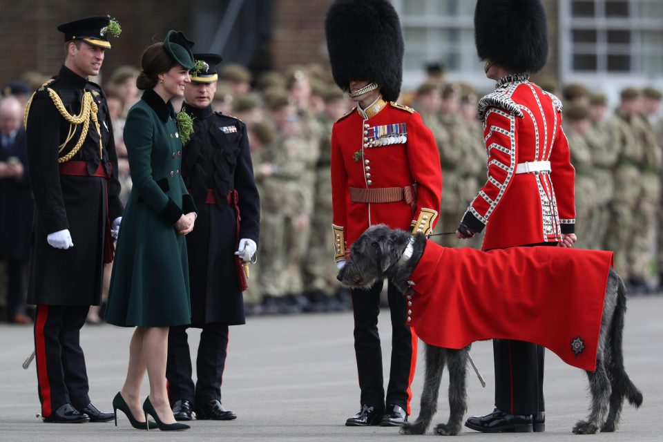  Prince William stands by as Kate prepares to greet an Irish Hound and present it with a shamrock