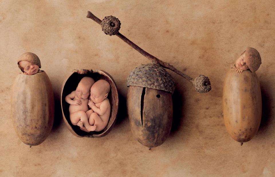 When a child is acorn