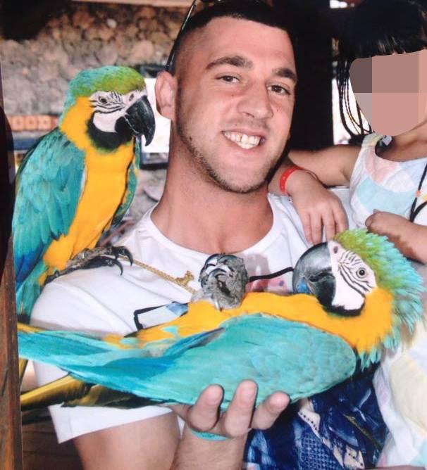 Parrots