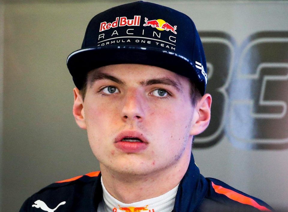 Red Bull ace Verstappen is regarded as the brightest young talent in Formula One