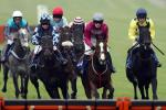 Exeter racecourse