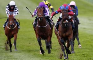 Newmarket racecourse
