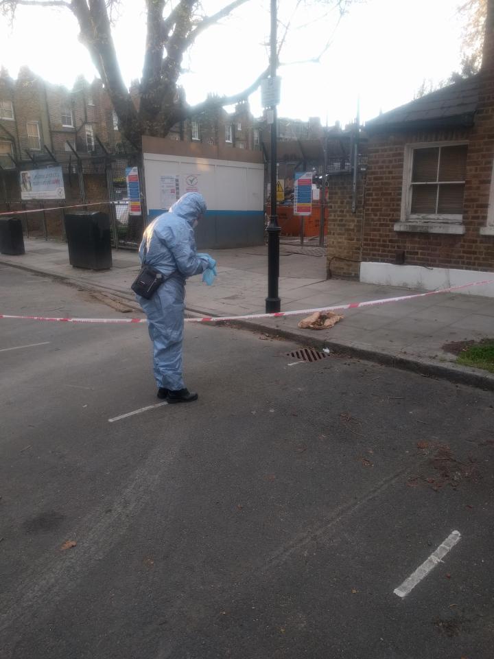 Human bones barnsbury