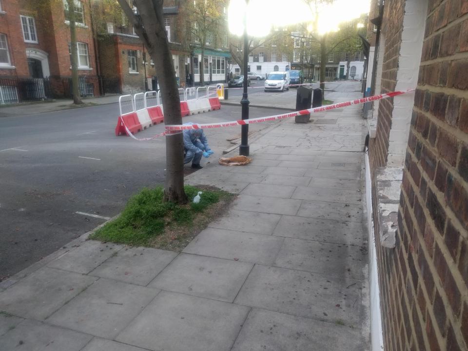 Human bones barnsbury