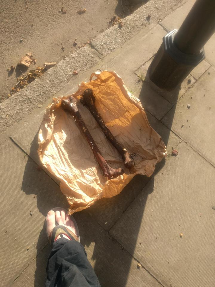 Human bones barnsbury