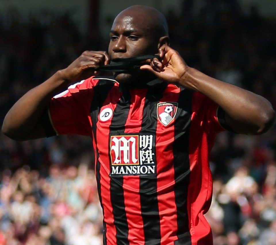 Benik Afobe's strike was his sixth goal of the season for Bournemouth