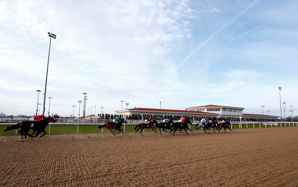Chelmsford racecourse
