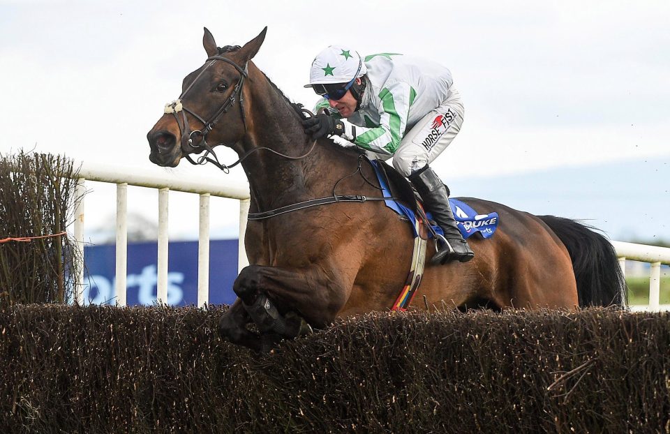  Our Duke was an impressive winner of the Boylesports Irish Grand National last season