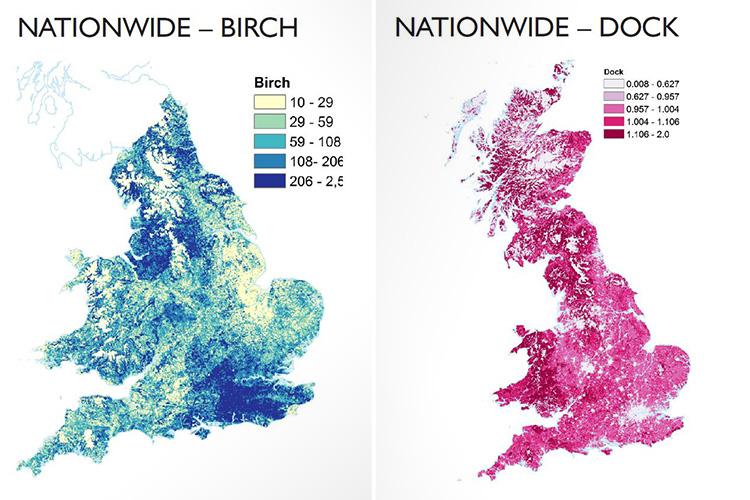The maps show which areas in the UK have higher levels of pollens that cause hay fever
