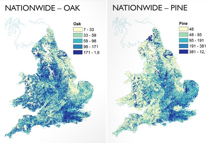 Different pollens are denser in different areas of the UK, which can make hay fever symptoms worse