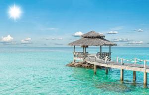 Thousands of Brit holidaymakers conned out of £7.2million last year after huge rise in online booking scams