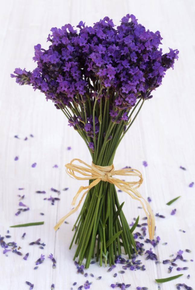 If you’re a nervous flyer or just hoping to catch forty winks, herbs like lavender can help induce calmness 