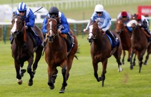 Newmarket racecourse