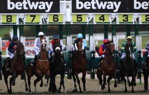 Lingfield racecourse
