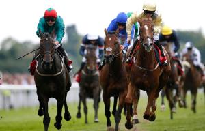 York racecourse