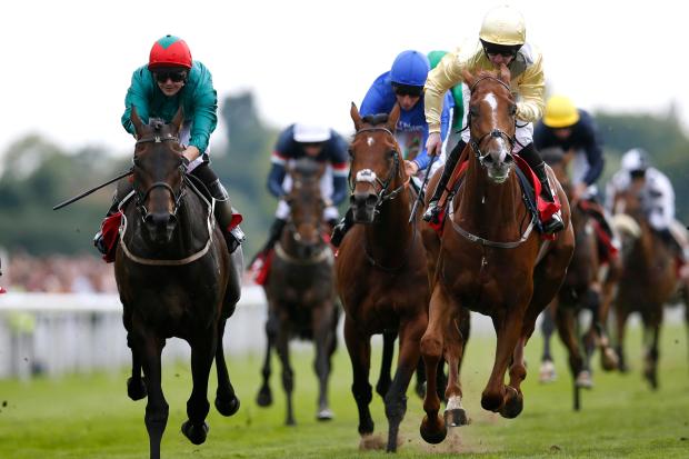 York racecourse