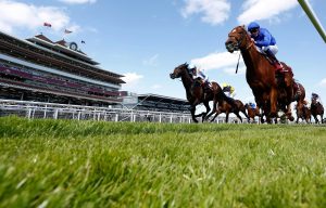 Newbury racecourse