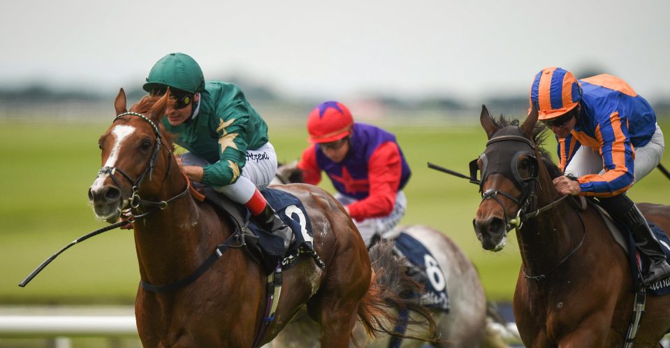 Decorated Knight